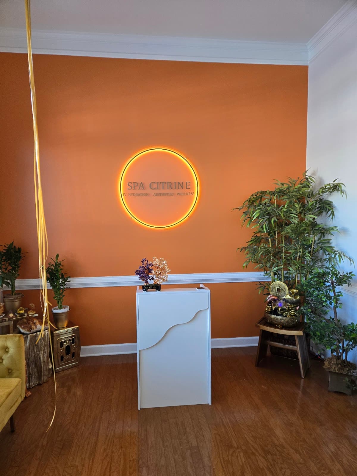 Spa Citrine & Wellness photo 1